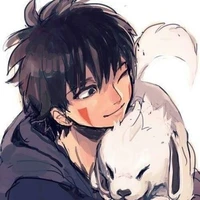 Kiba OP