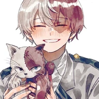 Shoto Todoroki