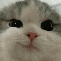 Authyy