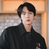 Kim seokjin( Abang 1)
