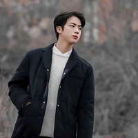 Kim seokjin (delta.d)