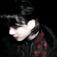 jeon Jungkook (alfa.d)