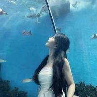 เซญ่า. ( น้อง น.อ )