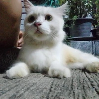 แอด(ไม่)อัพ!!