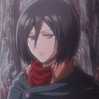 Mikasa