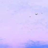 all