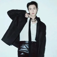 Seokjin ( O )