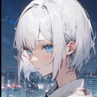 Y/N (???)