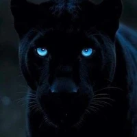 Tigre