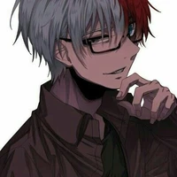 * Shoto Todoroki* ★16★