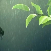 แอด