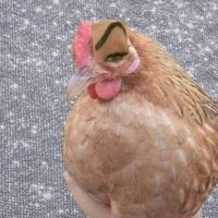 เเอดไง