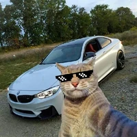 la belleza del autor😎