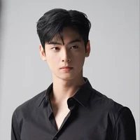 Cha eun woo(fl senior)