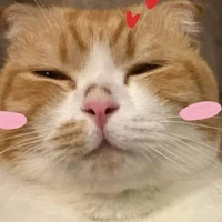 💖✨Min｡⁠*ﾟ⁠+