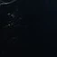 (Vozes)
