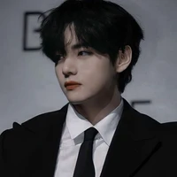 taehyung ( V )