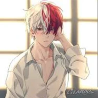 ❤️todoroki💙