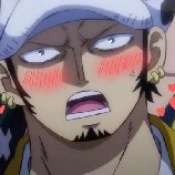 ทราฟาก้า ลอว์