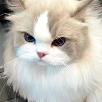 ตัวประกอบ