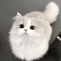 โซ