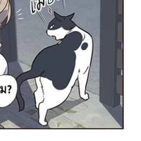 แมวจีอู,จินอู