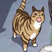 แมวจีอู,จินอู