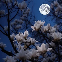 𝙐𝙣𝙠𝙣𝙤𝙬𝙣 ~