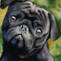 Perrita Pug