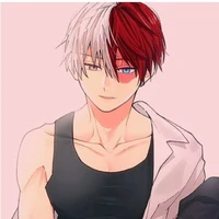 Shoto todoroki