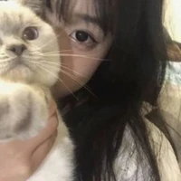 หลี่ซินอี(น.อ.)