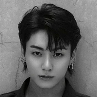 jeon jungkook/jk
