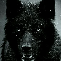 Lobo de Jimin