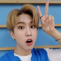 Han Jisung (O.P)
