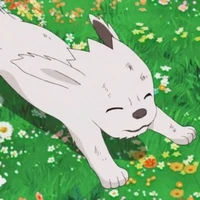 Akamaru