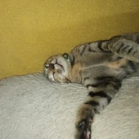 แอดเองๆ