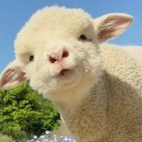 Fluffy