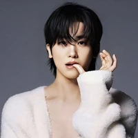 Kim Hyung-sik (supreme alpha)