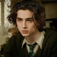 Regulus Black
