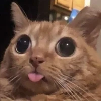 ☯︎ℬ𝒾ℯ𝓁/𝒞riador☯︎