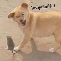 พวกเด็กนักเลง