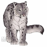 Leopardo das neves