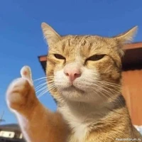 แอดเองจ้าา