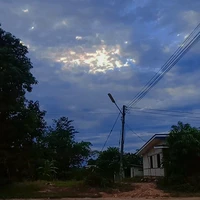 ตปก