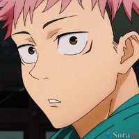 Yuji Itadori •A.p• [27]