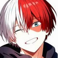 Shoto Todoroki