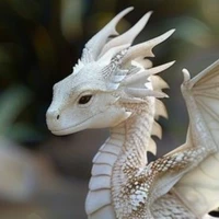 Drack(dragon baby)