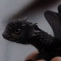 Nicolay(dragon baby)