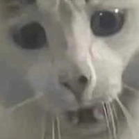 แอดเอง👁️🫦👁️