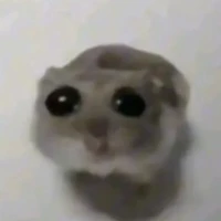 (ลูกค้า)